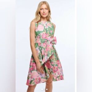 Shoshanna hi-low dress